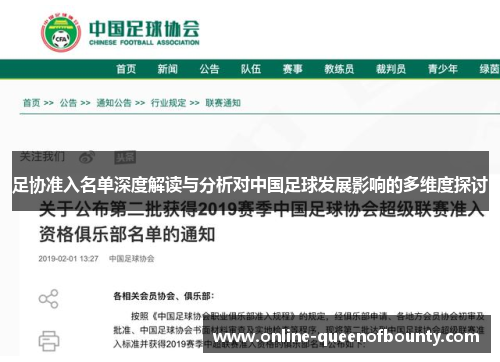 足协准入名单深度解读与分析对中国足球发展影响的多维度探讨